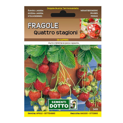 FRAGOLE RIFIORENTI QUATTRO STAGIONI DOTTO SEMENTI